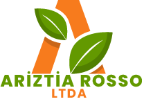 ARIZTIA ROSSO LTDA