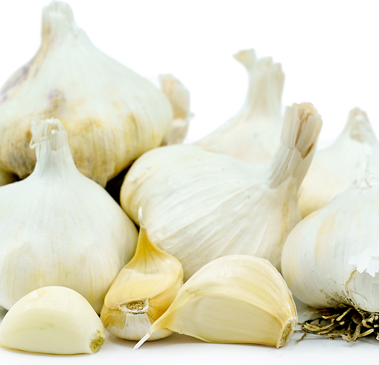 Fresh Garlic