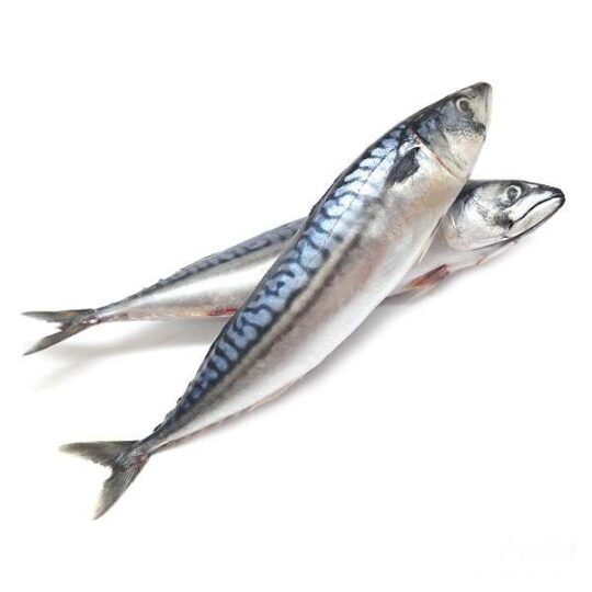 Frozen Mackerel