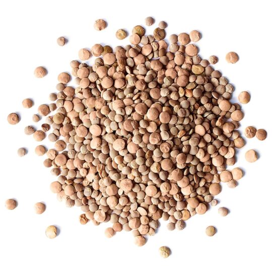 Organic Whole Red Lentils