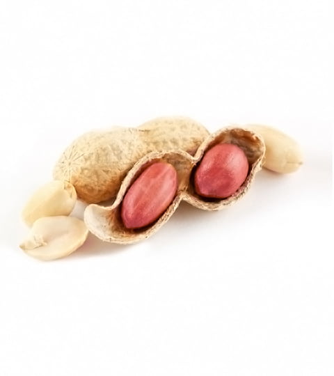 Java Peanuts