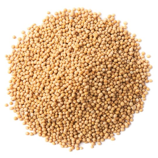 Organic Yellow Mustard Seeds